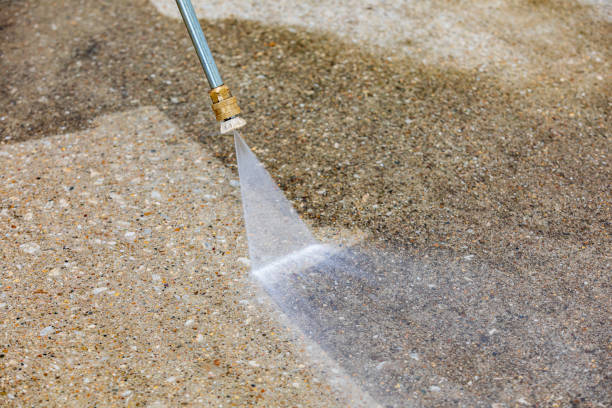 Best Animal Enclosure Cleaning  in South Eliot, ME